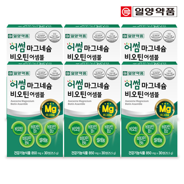 어썸 마그네슘 비오틴 비타민B 어셈블 6박스 6개월분